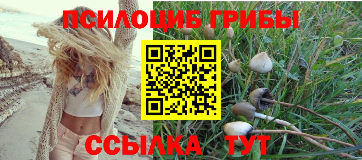 Галлюциногенные грибы Cubensis Севастополь