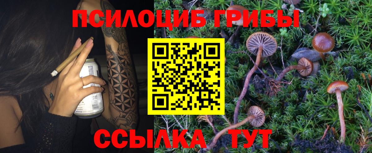 Галлюциногенные грибы мухоморы  Вход с VPN  Севастополь 